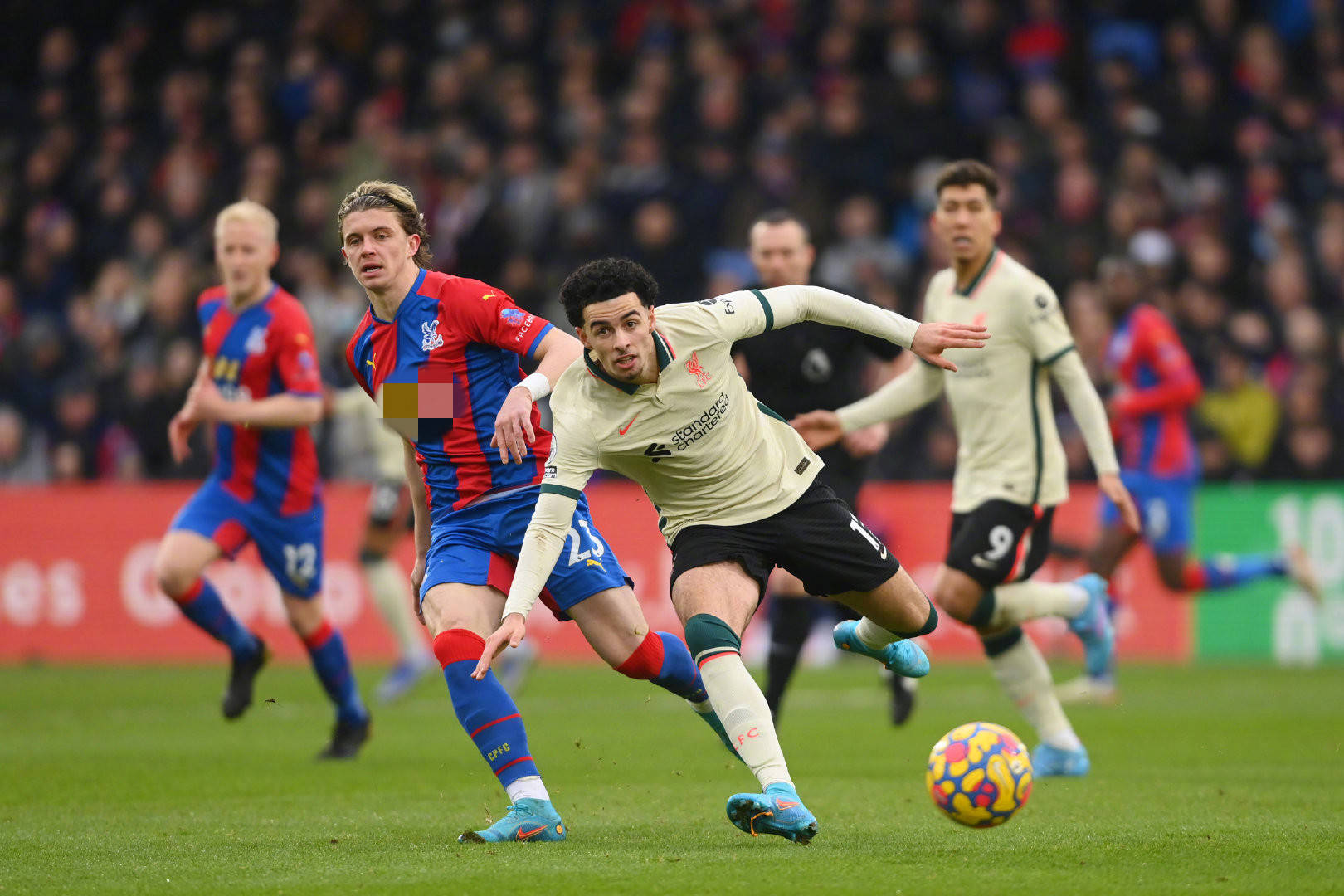 与凝聚力 与凝聚力